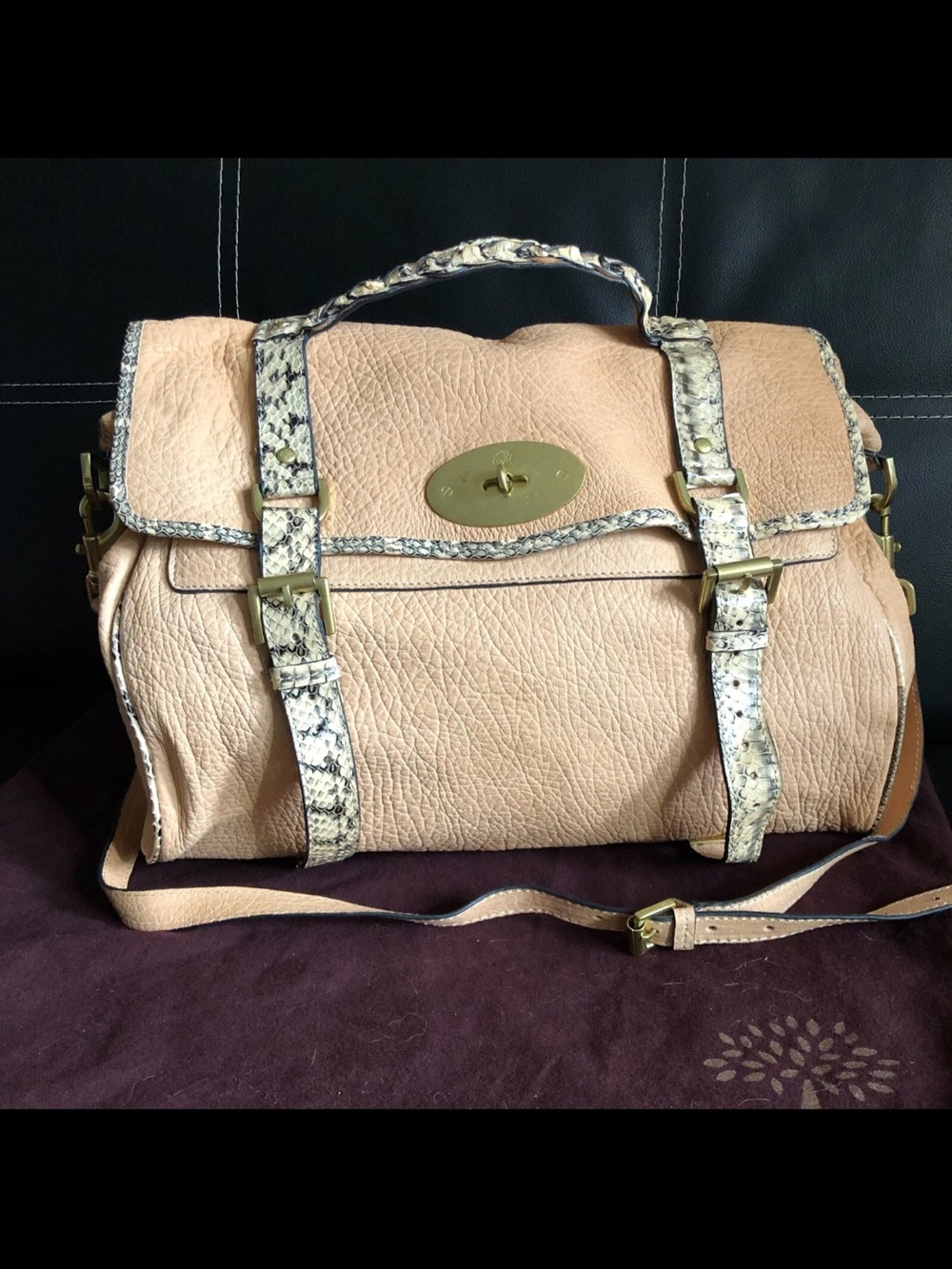 Mulberry Blush Pebbled Leather Satchel with Snake-Print Trim